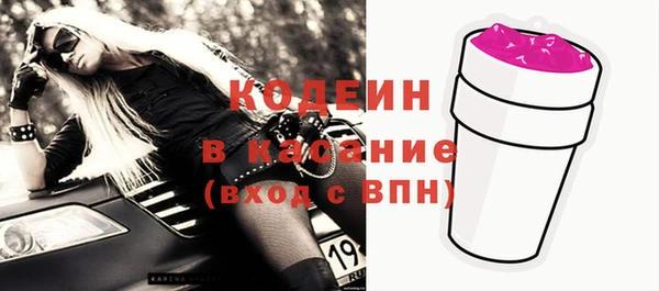 стаф Нея
