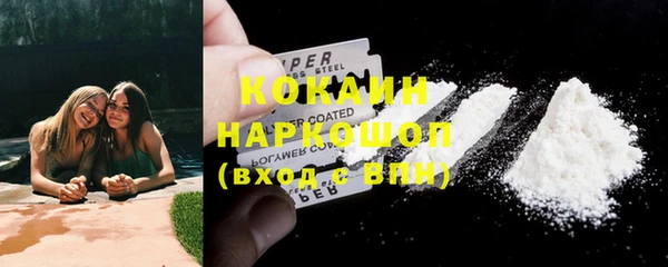 стаф Нея