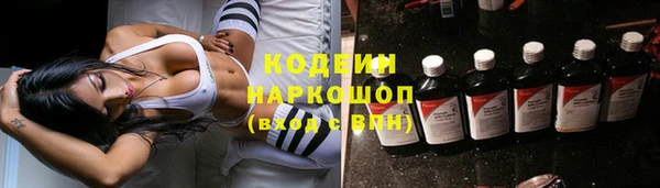 прущие грибы Орск