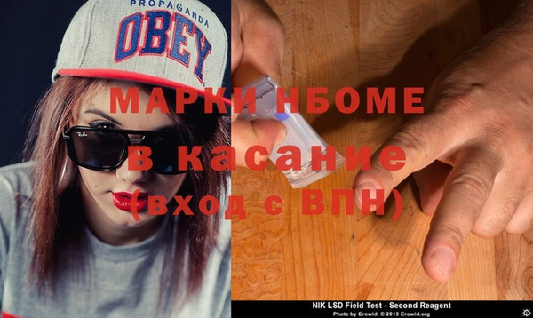 стаф Нея