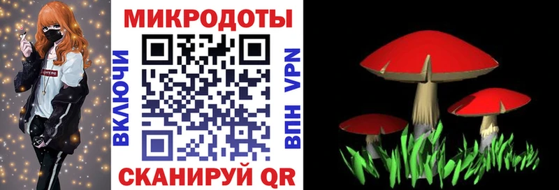 Галлюциногенные грибы прущие грибы Пестово