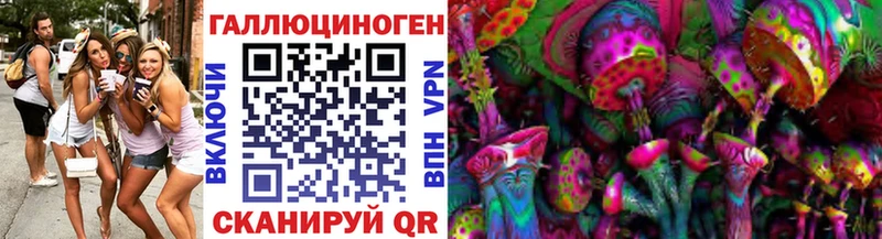 купить закладку Пестово Галлюциногенные грибы Cubensis