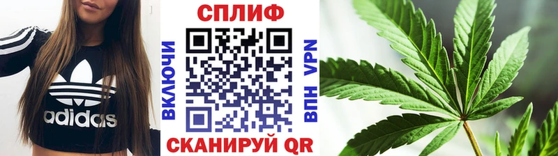 закладка Пестово shop Telegram Каннабис VHQ